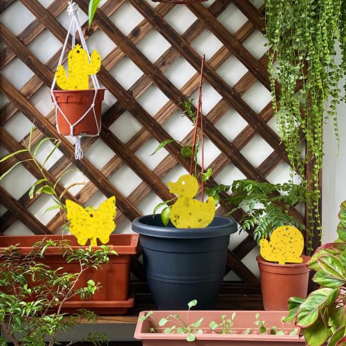 Gideal 12-Pack Dual-Sided Yellow Sticky Traps for Indoor/Outdoor Use, Gnat Trap for Flying Plant Insect Such as Fungus Gnats, Whiteflies, Aphids, Fruit Fly, Leafminers, etc - Cute Shapes