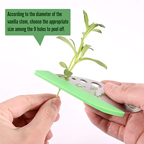 Herb Stripper and Cutter, Stainless Steel for Oregano, Rosemary, Thyme, Kale, etc.1 Pack