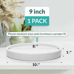 Willowy Matte White Ceramic Pot Saucer - Drainage Tray for 6, 7, 8, 9 Inch Planters + More Sizes