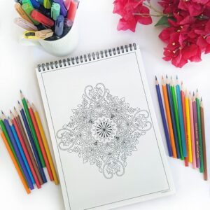 Power Mandalas Coloring book for adults, Spiral bound paperback, stress relieving intricate Offbeat mandalas for grown-ups