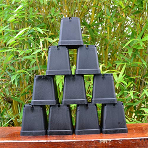 NUOBESTY 2 Inch Black Square Flower Pots Small Plastic Plant Pots 100PCS Square Flower Plant Pots Mini Succulent Pot for Cactus Bonsai