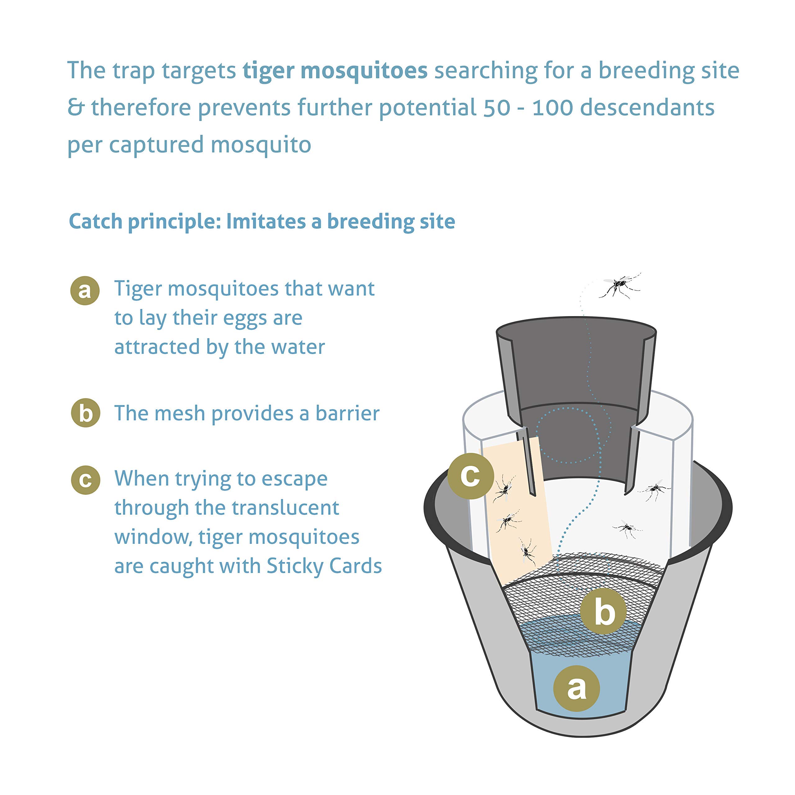 BIOGENTS BG-GAT Yard Protection (Pack of 2) • Non-Electrical Outdoor Mosquito Trap for Egg Laying Asian Tiger and Dengue Mosquitoes • for a pest-Free Patio