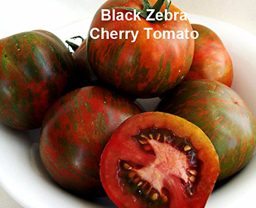 Mixed Seeds! 30+ Black Tomato Seeds, Mix of 9 Varieties, Heirloom Non-GMO, Black Prince, Cherokee Purple, Black Cherry, from USA