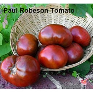 Mixed Seeds! 30+ Black Tomato Seeds, Mix of 9 Varieties, Heirloom Non-GMO, Black Prince, Cherokee Purple, Black Cherry, from USA