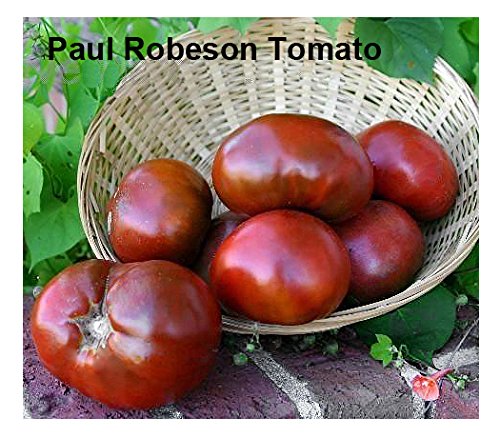 Mixed Seeds! 30+ Black Tomato Seeds, Mix of 9 Varieties, Heirloom Non-GMO, Black Prince, Cherokee Purple, Black Cherry, from USA