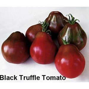 Mixed Seeds! 30+ Black Tomato Seeds, Mix of 9 Varieties, Heirloom Non-GMO, Black Prince, Cherokee Purple, Black Cherry, from USA