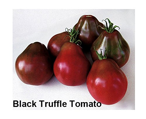 Mixed Seeds! 30+ Black Tomato Seeds, Mix of 9 Varieties, Heirloom Non-GMO, Black Prince, Cherokee Purple, Black Cherry, from USA