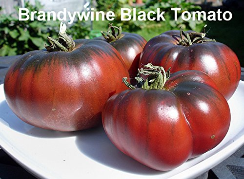 Mixed Seeds! 30+ Black Tomato Seeds, Mix of 9 Varieties, Heirloom Non-GMO, Black Prince, Cherokee Purple, Black Cherry, from USA