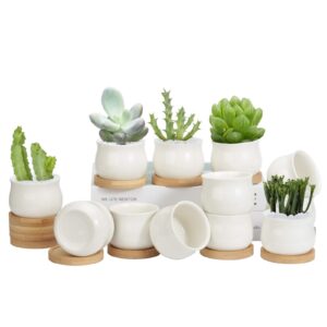 zoutog 12 pack succulent pots, 2.6 inch mini ceramic pots for flower or cactus with drainage hole, small pots for plants, plants not included
