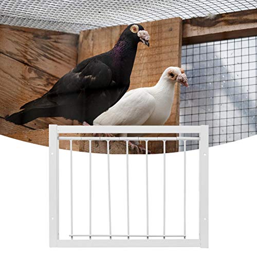 Birdcages T Trap, Pigeon Door Wire Bars Frame Entrance T Trap for Pigeon Birds House Door(30 * 26cm)