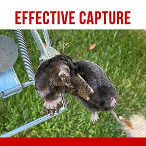 ALLRoad Easy Setup Mole Trap with Quick Kill Reusable Eliminator Scissor Trap Gopher Trap- Non Toxic and Protect The Lawn