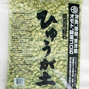 Japanese Hyuga Pumice for Orchid & Bonsai Tree Soil Mix - Large Grain (12 mm-25 mm) 18 Liter