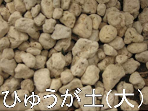 Japanese Hyuga Pumice for Orchid & Bonsai Tree Soil Mix - Large Grain (12 mm-25 mm) 18 Liter