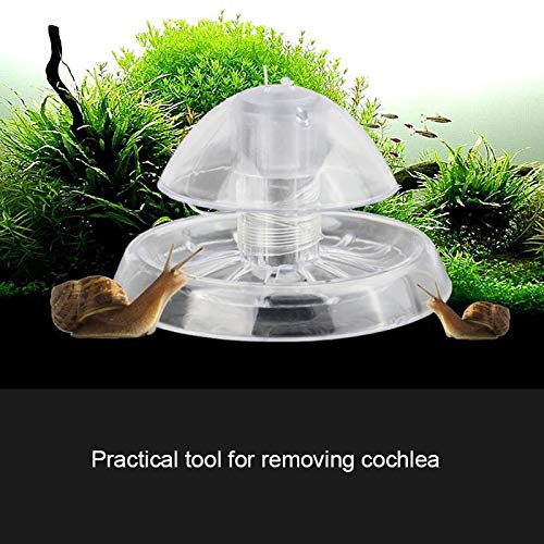 Snail Catcher, Snail Trap Catcher Plastic Leech Planarian Pest Catch Box for Aquarium Fish Plant Tank(3 PCS/3.15inch)