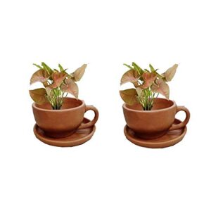 artisansorissa 4.5 inch dia cup plate planter terracotta clay pots with drain hole unglazed bonsai planter for cacuts/succulent plants for indoor/outdoor (6) (2)