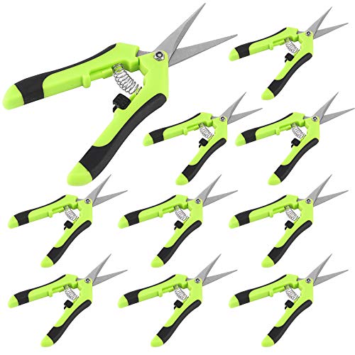 HAKZEON 10 Pack 6.5 Inch Professional Bud Trimming Scissors,Stainless Steel Micro-Tip Gardening Hand Pruners with Straight Blades, for Easy Pruning Garden Tree Pot Plant Flowers