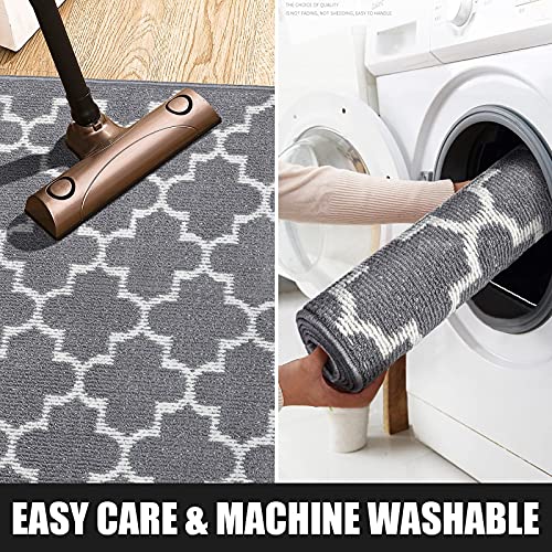 Indoor Doormat 36"x 59", Absorbent Front Back Door Mat Floor Mats, Rubber Backing Non Slip Door Mats Inside Entrance Door Runner Rug Mud Dirt Trapper, Machine Washable Low Profile-Grey Lantern