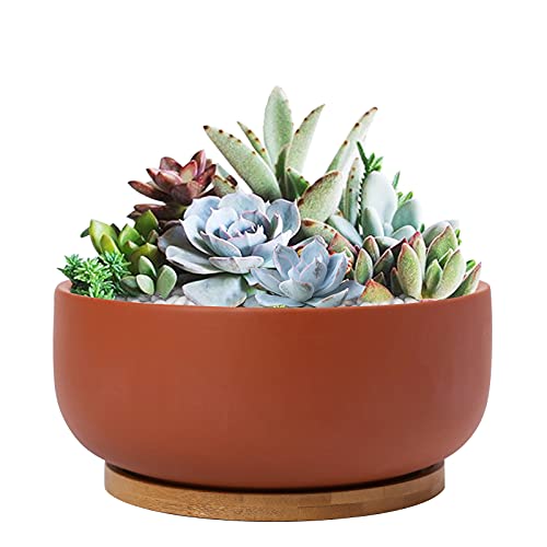 Thirtypot 8 Inch Terracotta Planter Shallow Succulent Planter Pot with Drainage Hole and Bamboo Saucer for Indoor Plants Terracotta