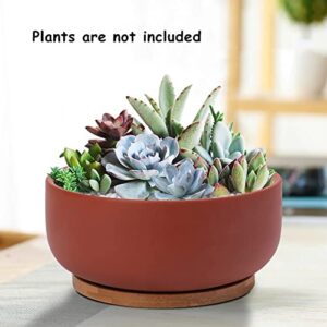 Thirtypot 8 Inch Terracotta Planter Shallow Succulent Planter Pot with Drainage Hole and Bamboo Saucer for Indoor Plants Terracotta