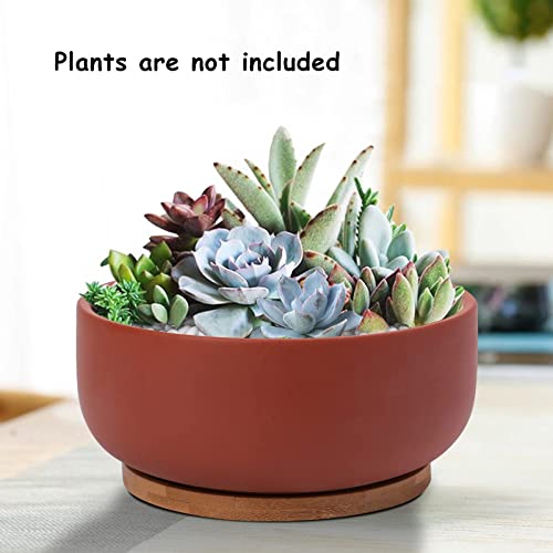Thirtypot 8 Inch Terracotta Planter Shallow Succulent Planter Pot with Drainage Hole and Bamboo Saucer for Indoor Plants Terracotta