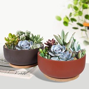 Thirtypot 8 Inch Terracotta Planter Shallow Succulent Planter Pot with Drainage Hole and Bamboo Saucer for Indoor Plants Terracotta