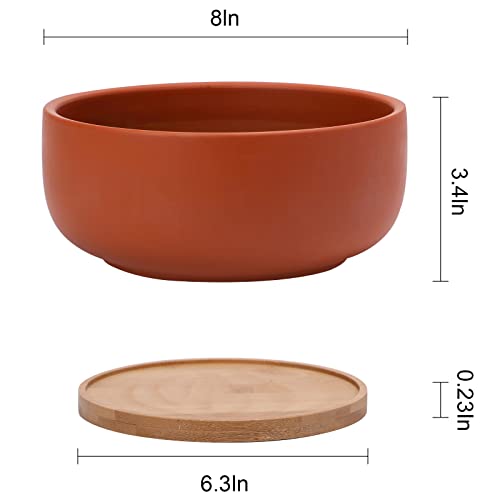 Thirtypot 8 Inch Terracotta Planter Shallow Succulent Planter Pot with Drainage Hole and Bamboo Saucer for Indoor Plants Terracotta