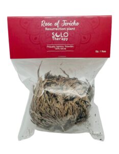 rose of jericho flower the resurrection plant | pack of 1 dried rose | sacred rose, doradilla plant | 3" - 4" each (1)