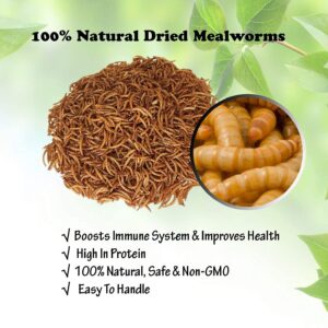 Amzey Appetizing Mealworms 5 LBS- 100% Non-GMO Dried Mealworms - Large Meal Worms - High Protein Treats- Perfect Mealworm for Chickens, Ducks, Turtles, Blue Birds, Lizards - Bag of Mealworms 5 LBS