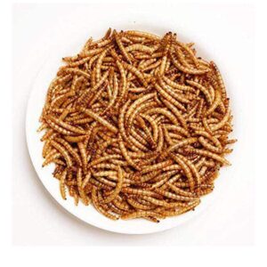 Amzey Appetizing Mealworms 5 LBS- 100% Non-GMO Dried Mealworms - Large Meal Worms - High Protein Treats- Perfect Mealworm for Chickens, Ducks, Turtles, Blue Birds, Lizards - Bag of Mealworms 5 LBS