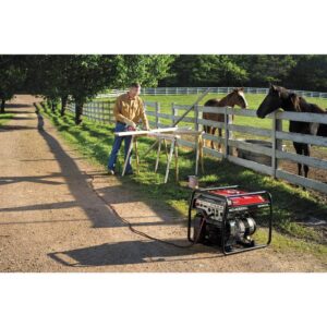 Honda 664342 EG4000 120V/240V 4000-Watt 270cc Portable Generator with Co-Minder