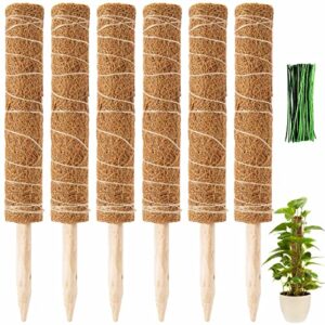 68'' total moss monstera pole plants support for indoor climbing plants- stable stackable coco coir stakes for potted plants, easy to use (6 pack)