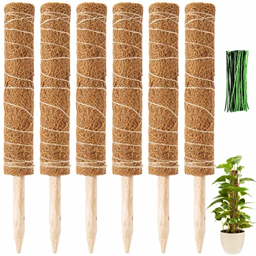 68'' Total Moss Monstera Pole Plants Support for Indoor Climbing Plants- Stable Stackable Coco Coir Stakes for Potted Plants, Easy to Use (6 Pack)