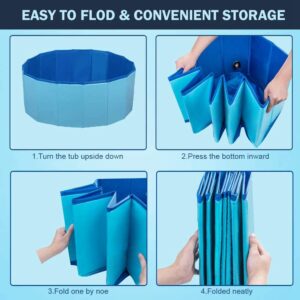 Foldable Collapsible Lizard Bathing & Cooling Swimming Pool, Durable Bath Tub, Swimming Bath Water Washer for Bearded Dragons Hedgehog Hamster & Small Animals, Bonus - Bearded Dragon Swim Float
