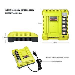 40V Charger for Ryobi, Hipoke OP401 Lithium-ion Battery Charger for OP4015 OP4026 OP4026A OP4030 OP4040 OP4050 OP4050A OP4060 OP40261 OP40301 OP40401 OP40501 OP40601 Ryobi 40V Lithium-ion Battery