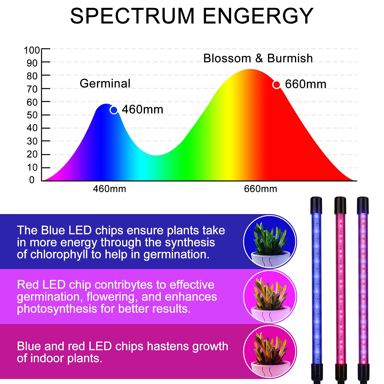 XINBAOHONG Grow Lights 10 Dimmable Levels Plant Grow Lights with 3 Modes Timing Function for Indoor Plants