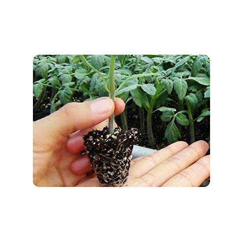 RooTrimmer 200 Cell, 10pcs-Pack Thick Durable Flats Vegetable Fruit Seeds Seedling Plastic Plug Farmer Nursery Trays Roots Propagation