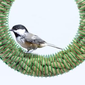 Gtongoko Peanut Wreath Bird Feeder 16 Inch, Rust & Waterproof, Solid Steel Durable Whole Peanut Wild Bird Feeder with Hanging Hook, Outdoor, Green