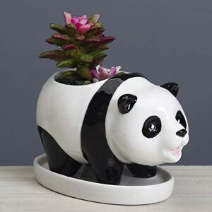 Gemseek Cute Panda Succulent Planter Pot with Drainage Tray, White Ceramic Flower/Cactus Holder, Animal Bonsai Container for Indoor Plants