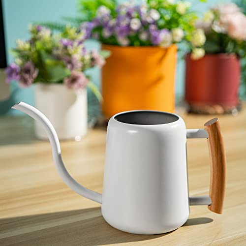 Kampasy Watering Can - 35oz White Watering Can Indoor Plant - Houseplant Watering Can - Indoor Watering Can with Long Spout-Cute Watering Can-Small Watering Can for Indoor Plants-Water Can for Plants