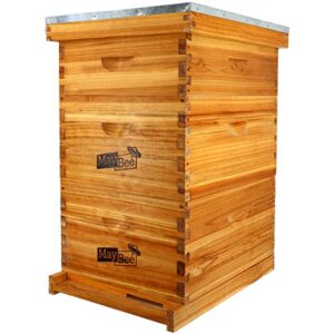 10-frame langstroth beehive dipped in 100% beeswax, complete bee hives and supplies starter kit includes 2 deep hive bee box and 1 bee hive super with beehive frames and foundation