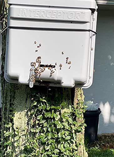 Honeybee Swarm Trap-THE INTERCEPTOR PRO Complete Kit ASSEMBLED With Frames, Foundation, Lure & REAL Beeswax Coating (also includes tree strap & hooks)