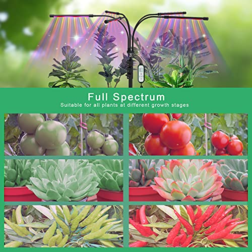 Aogled Grow Light with Stand,50W 5 Head LED Full Spectrum Indoor Plant Lamp with Remote Control,Adjustable Gooseneck,4/8/12H Timer and 10 Dimmable Brightness for Seed Starting Succulents Vegetables