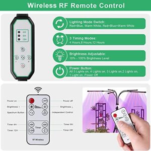 Aogled Grow Light with Stand,50W 5 Head LED Full Spectrum Indoor Plant Lamp with Remote Control,Adjustable Gooseneck,4/8/12H Timer and 10 Dimmable Brightness for Seed Starting Succulents Vegetables