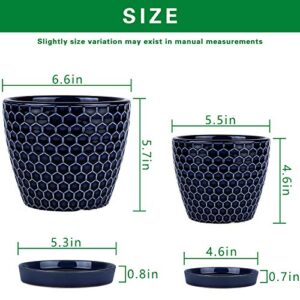 Docrin Indoor Plant Pots- 6.6 and 5.5 Inch,Ceramic Pots for Plants with Drainage Holes and Saucer for Succulent, Flower and Plant, Gardening Decoration Gift,Indoor ，Set of 2, Blue，Honeycomb