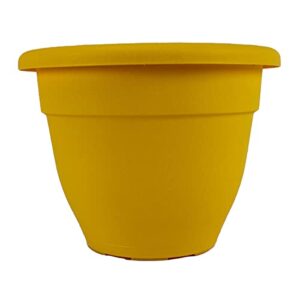 the hc companies 10 inch caribbean planter - lightweight indoor outdoor plastic plant pot for herbs and flowers, honey
