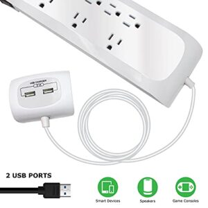 Digital Energy 8 Outlet 4200 Joules 25 FT Surge Protector Power Strip with Separated 2 USB Ports Strip