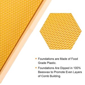 MayBee Hives-Deep or Brood Size Beehive Frames and Foundations,10 Pack Honey Bee Frames with 100% Beeswax Coated Food Grade Foundation Sheets, 9-1/8-Inch(Yellow)