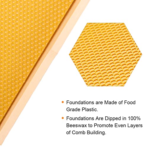 MayBee Hives-Deep or Brood Size Beehive Frames and Foundations,10 Pack Honey Bee Frames with 100% Beeswax Coated Food Grade Foundation Sheets, 9-1/8-Inch(Yellow)