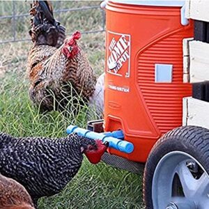 DoubleWood Fully Automatic Poultry Drinking Machine Chicken Drinking Cup, Chicken Drinking Watering Cups/Poultry Drinking Machine (24)