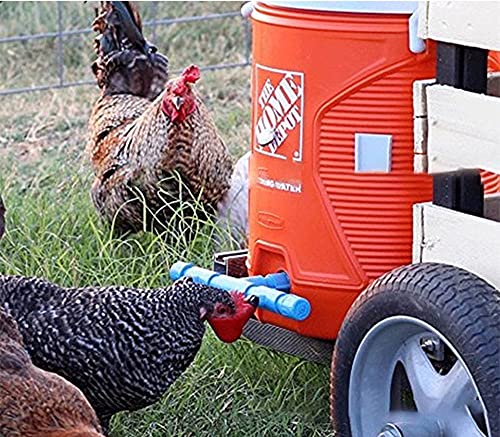 DoubleWood Fully Automatic Poultry Drinking Machine Chicken Drinking Cup, Chicken Drinking Watering Cups/Poultry Drinking Machine (24)